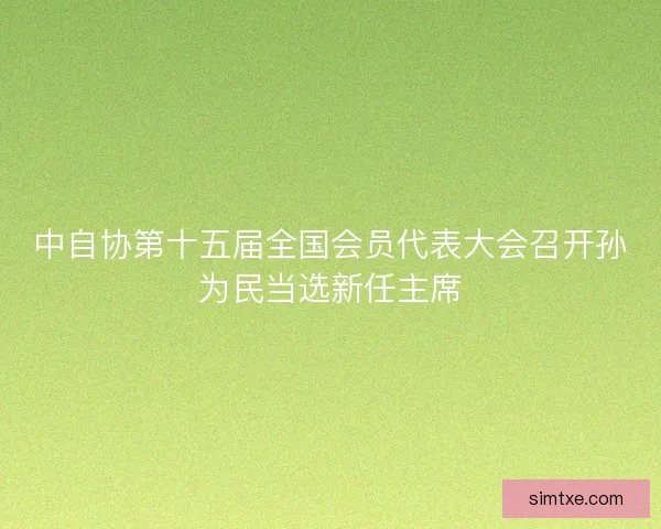 中自协第十五届全国会员代表大会召开孙为民当选新任主席 中自协第十五届全国会员代表大会召开孙为民当选新任主席