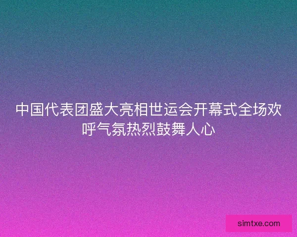 中国代表团盛大亮相世运会开幕式全场欢呼气氛热烈鼓舞人心