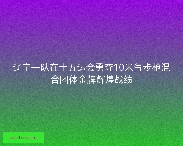 辽宁一队在十五运会勇夺10米气步枪混合团体金牌辉煌战绩